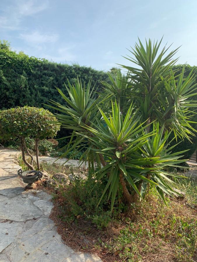 Villa Soledad 卡西斯 外观 照片